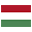 IT Flag